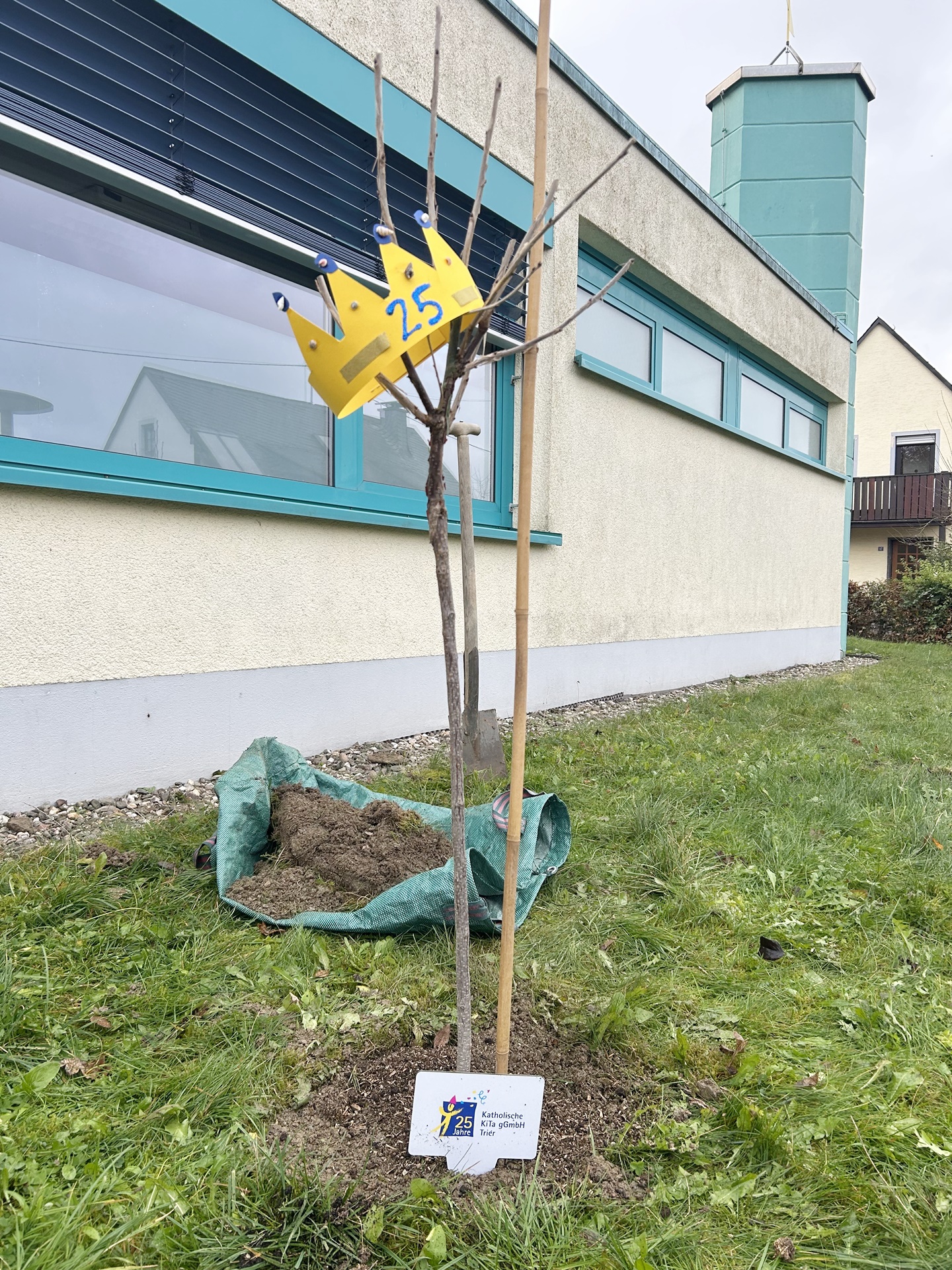 Der Jubiläumsbaum in St. Georg Trier-Irsch erhielt eigens eine selbstgebastelte Geburtstagskrone.
