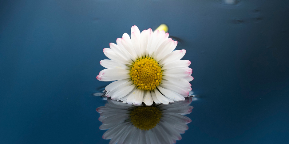 Worte für den Abschied finden