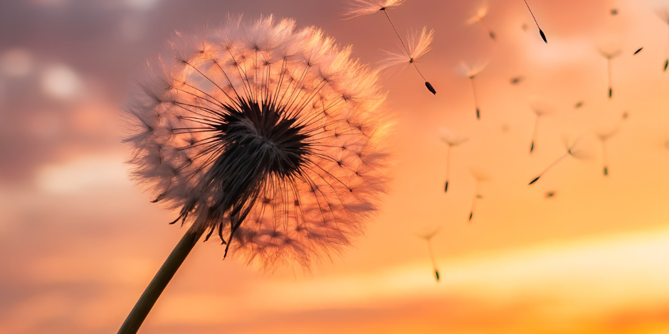 Abschied und Neubeginn – Ein fließender Übergang