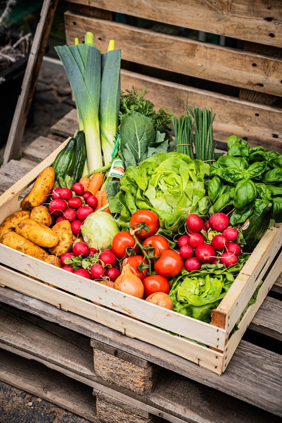 Man sieht eine Kiste mit regionalem Gemüse